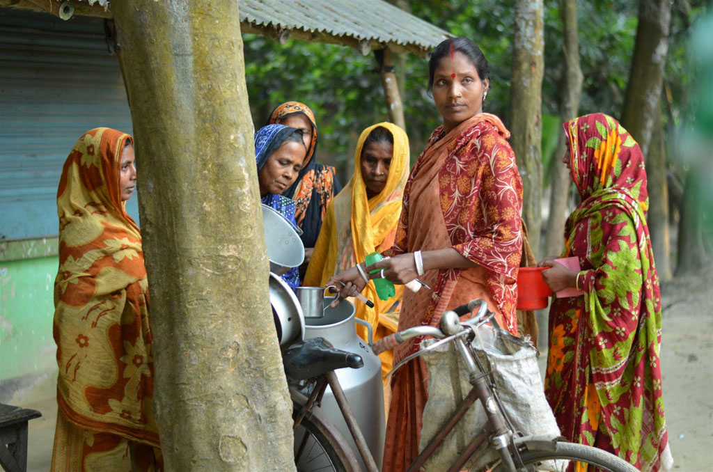 Photo: Akram Ali/CARE Bangladesh Strengthening the Dairy Value Chain (SDVC) project. Source: Flickr (IFPRI Images)